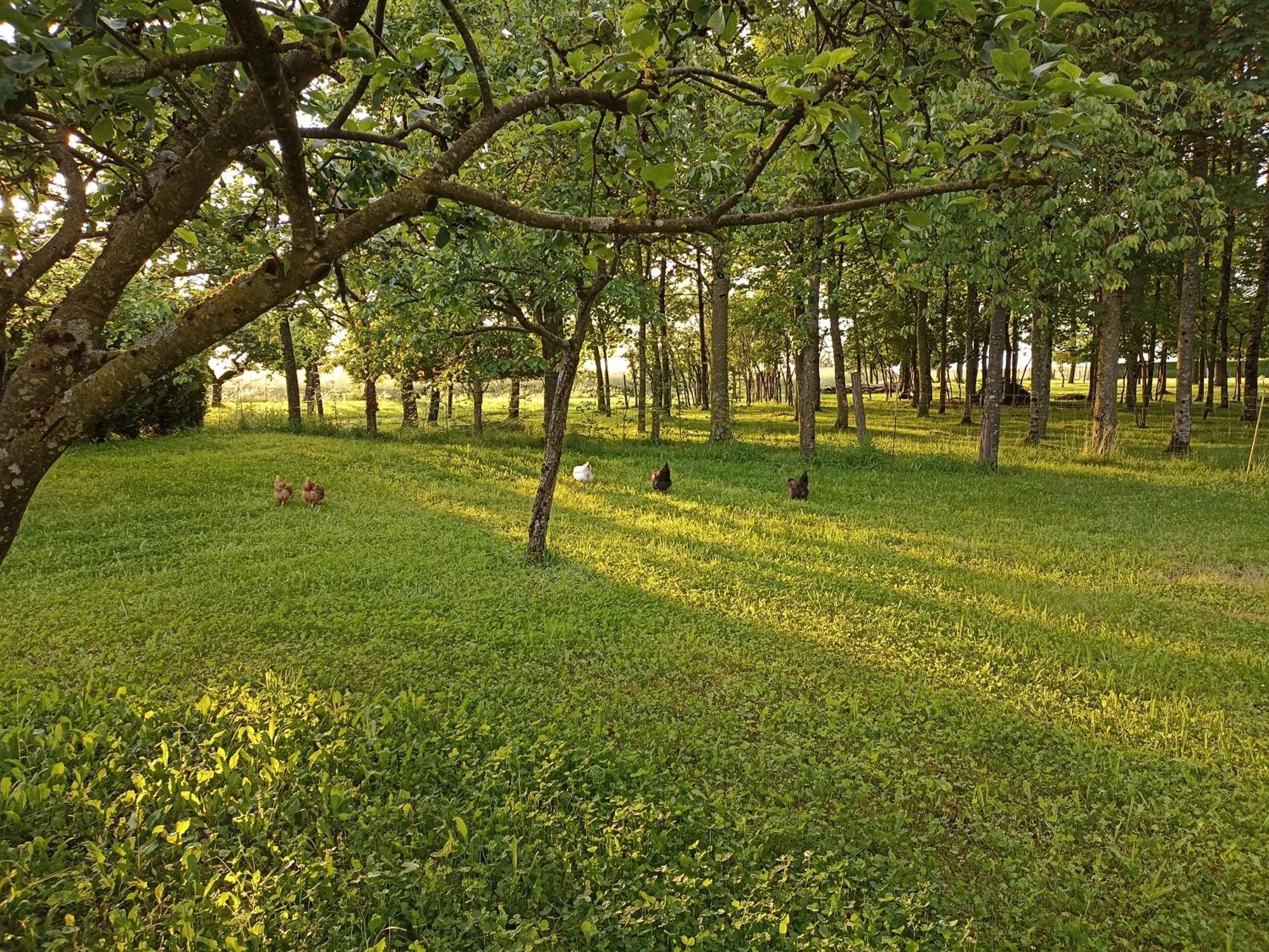 Gite Nature Et Detente Aubréville Exterior foto