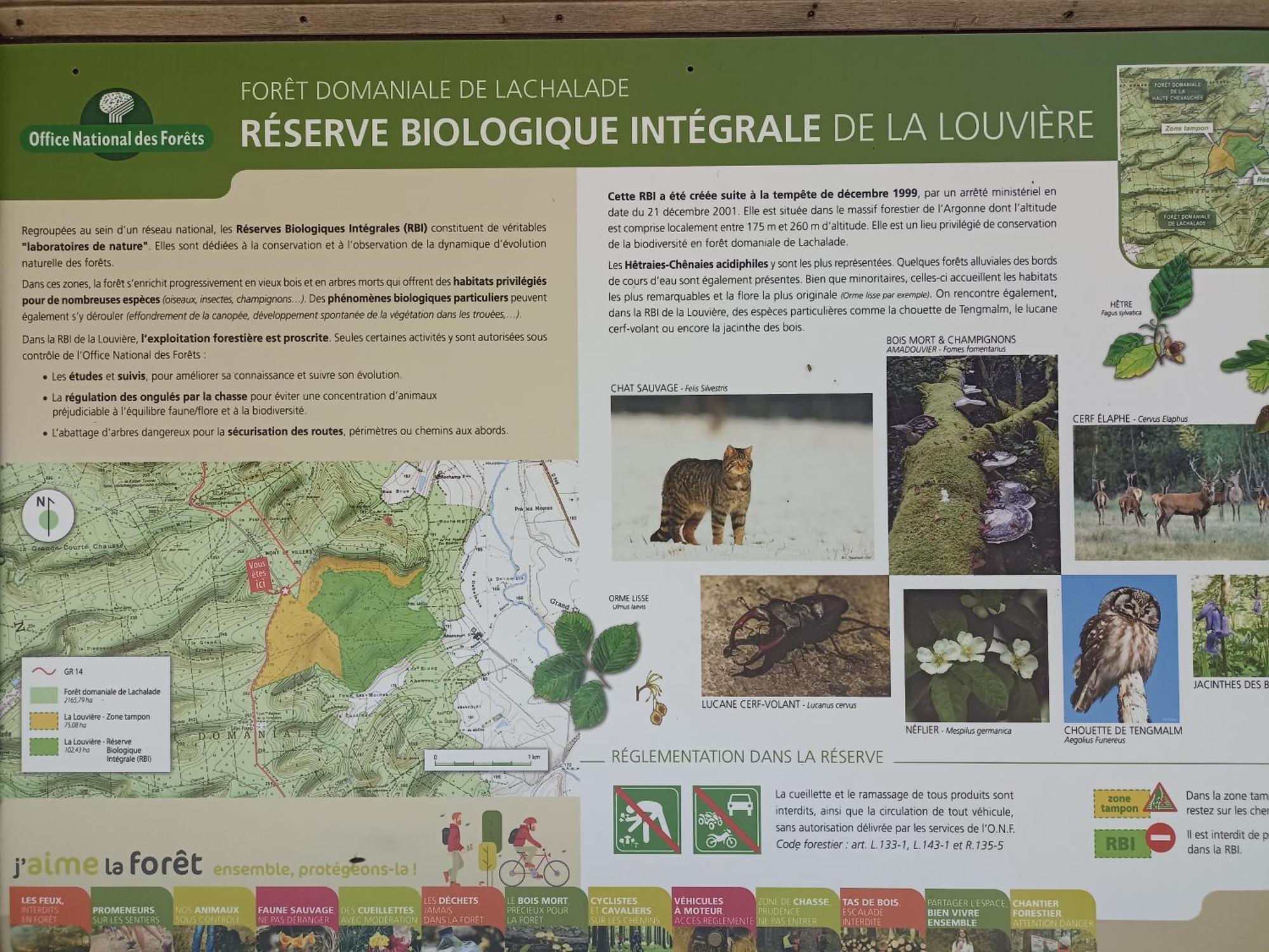Gite Nature Et Detente Aubréville Exterior foto