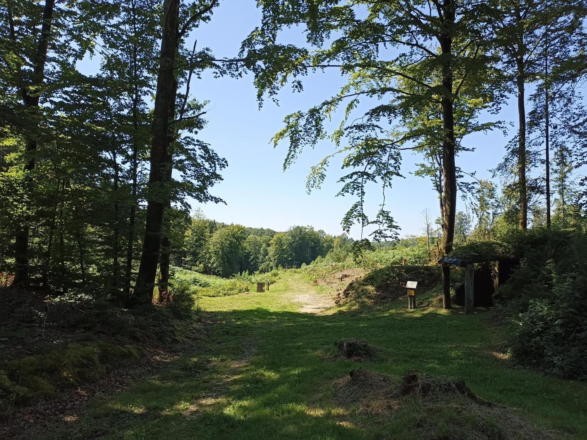 Gite Nature Et Detente Aubréville Exterior foto