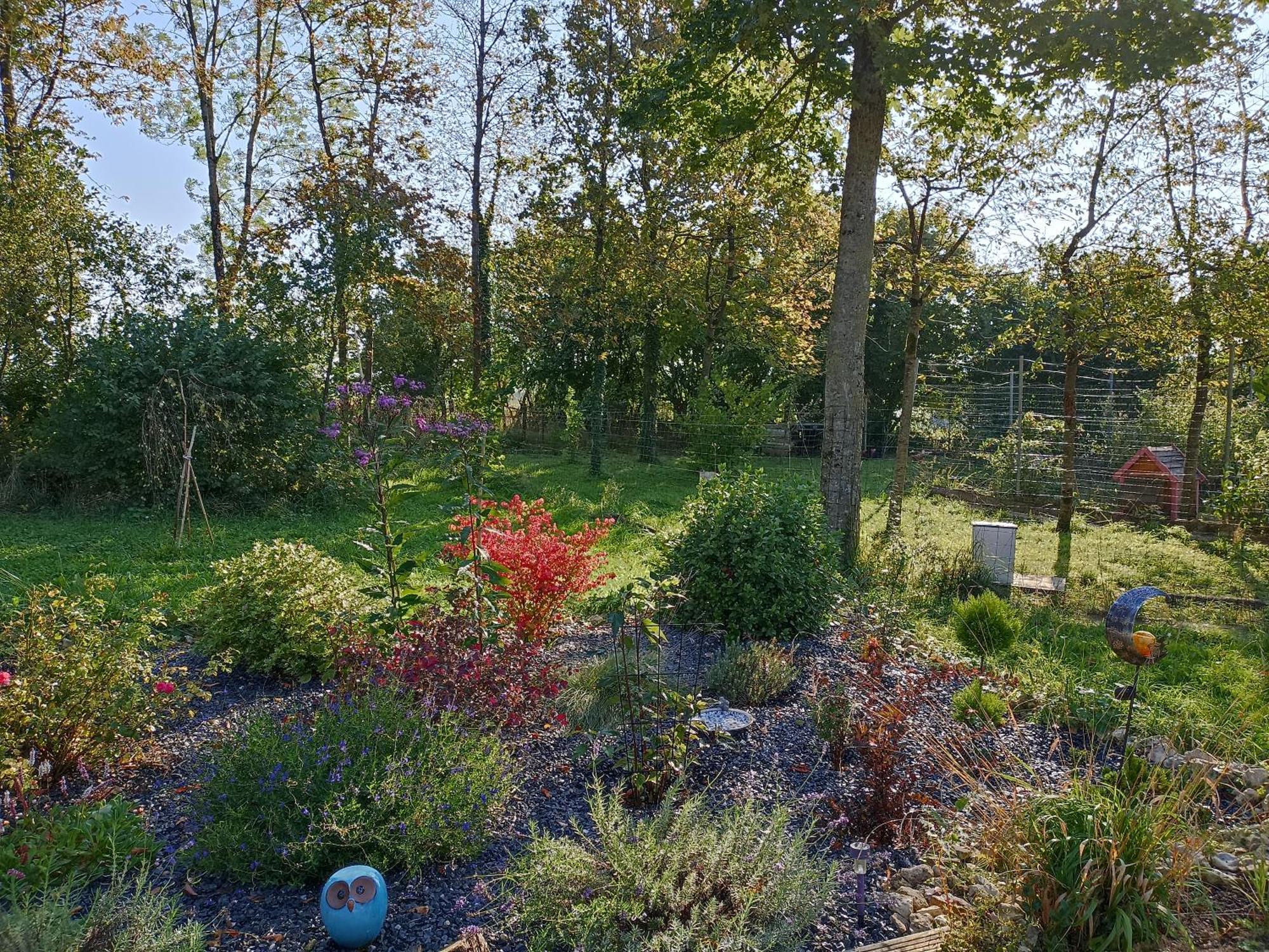 Gite Nature Et Detente Aubréville Exterior foto